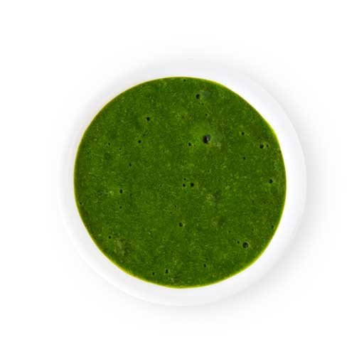 Cilantro Avocado